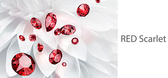 <h2>Jewel Cut Flat Back Family</h2>
<p>Cuando las cosas se ponen difíciles y el mundo adquiere un aura de incertidumbre, surge un deseo palpable de bailar por todo. El diseño adopta un carácter ligero, volviéndose hacia la diversión y la risa. La moda se caracteriza por el glamour de la vendimia y la excentricidad rebelde en una especie de homenaje a los tiempos de los años veinte y treinta, cuando el espíritu se mantuvo mientras el mundo se desmoronaba.</p>